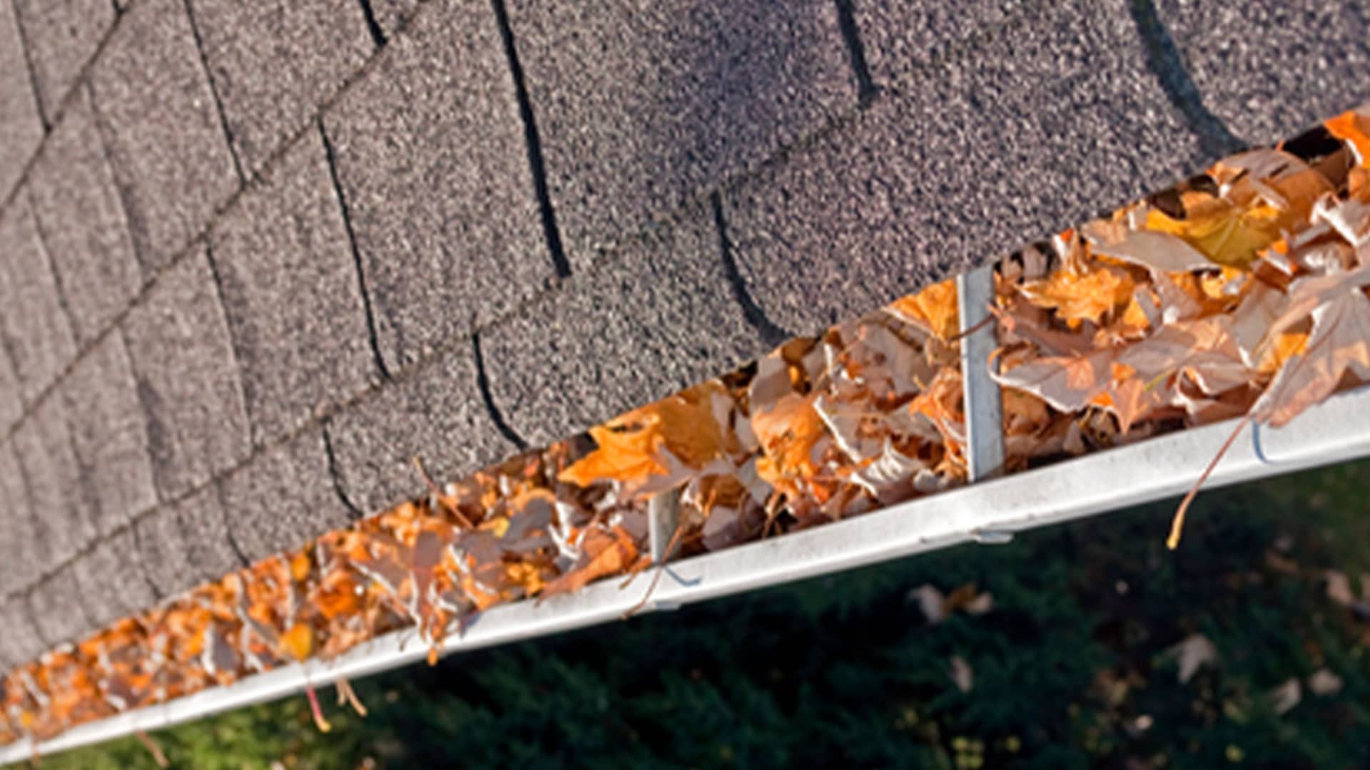 gutters-cleaning